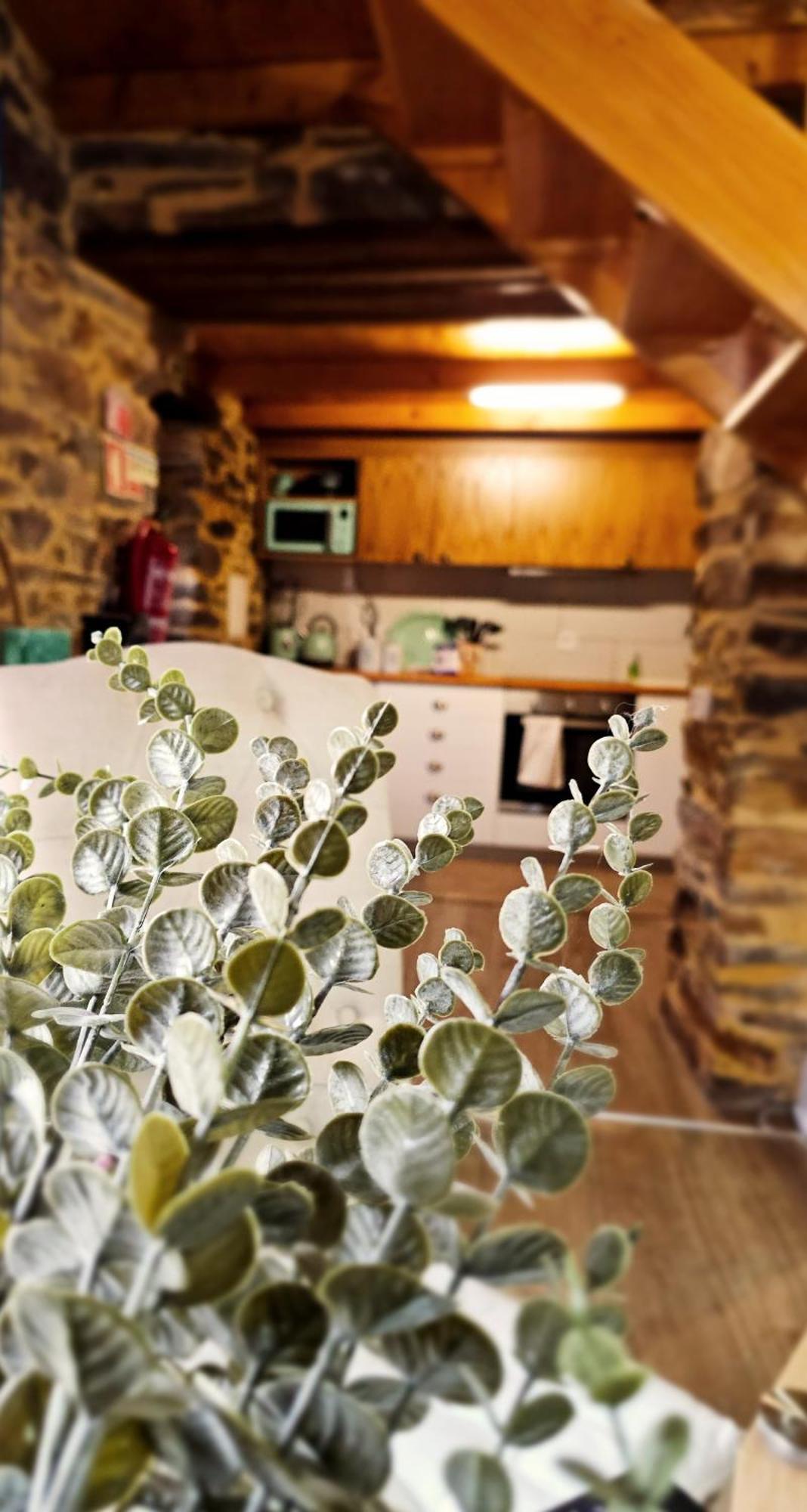 Pampihouse, Luxury Rustic House Near River Pampilhosa da Serra Exterior foto